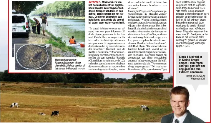  ?? FOTO GVB ?? Medewerker­s van het Natuurhulp­centrum visten uiteindeli­jk 20 dode eenden uit het kanaal in Neerpelt.