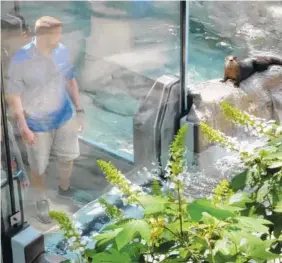  ?? STAFF PHOTO BY TIM BARBER ?? David Johnson of Canton, Ga., enjoys watching the otters at the Tennessee Aquarium River Journey building.