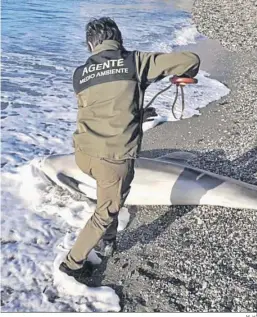  ?? M. H. ?? Un agente de Medio Ambiente con el delfín hallado.