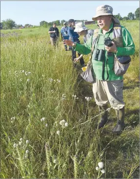  ?? Flip Putthoff/NWA Democrat-Gazette ?? Joe Neal (right) admires a stand of rattlesnak­e master plants on July 9 at Chesney Prairie Natural Area in Siloam Springs.