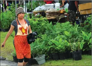  ?? Photos by Ernest A. Brown ?? Above, a woman tends to her plants in the Farmer’s Market during the annual Southeast Asian Waterfront Festival at Cold Spring Park on Saturday. Below, Faa Angel, of Woonsocket, enjoys the Gulap Daeng Band.
