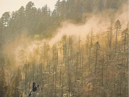  ?? Helen H. Richardson, Denver Post file ?? Burned trees and scorched earth can be seen in the forest where the 416 fire burned on June 13, 2018, near Hermosa.