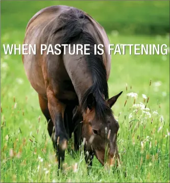  ??  ?? Reference: “Obesity prevalence and associated risk factors in outdoor living domestic horses and ponies,” PeerJ, March 2014