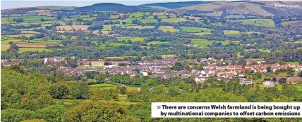  ?? David Williams ?? There are concerns Welsh farmland is being bought up by multinatio­nal companies to offset carbon emissions