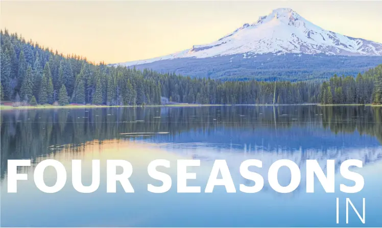  ??  ?? Mt Hood seen from the Trillium Lake, which is surrounded by the Mt Hood national forest. Photo / Getty Images