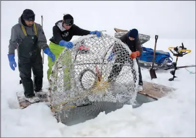  ??  ?? THROUGH THE ICE – Subsistenc­e crabbers drop a crab pot through the ice off West Beach, in this Nugget file photo from March, 2018.