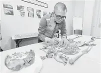  ?? — Gambar Bernama ?? TELITI: Pembantu Muzium Kanan (Arkeologi) Jabatan Warisan Negara (JWN) Khairil Amri Abd Ghani membuat pembersiha­n pada rangka manusia yang ditemui.