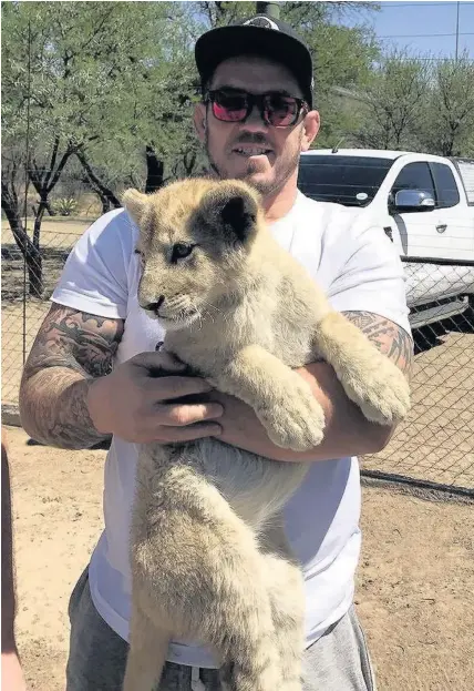  ??  ?? Ospreys prop Paul James enjoying a close encounter with a lion cub