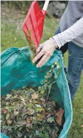  ??  ?? ROUGHAGE: Organic matter improves soil