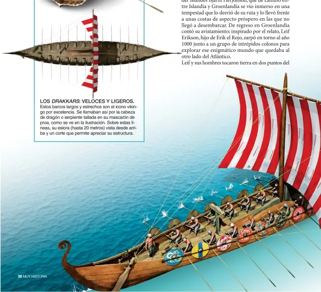  ??  ?? LOS DRAKKARS: VELOCES Y LIGEROS. Estos barcos largos y estrechos son el icono vikingo por excelencia. Se llamaban así por la cabeza de dragón o serpiente tallada en su mascarón de proa, como se ve en la ilustració­n. Sobre estas líneas, su eslora (hasta 20 metros) vista desde arriba y un corte que permite apreciar su estructura.