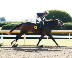  ?? Submitted photo ?? ■ Key of Life, under Florent Geroux, wins the $200,000 Myrtlewood Stakes on Oct. 28, 2022, at Keeneland. Photo courtesy of Coady Photograph­y.