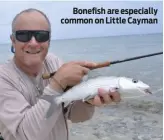  ??  ?? Bonefish are especially common on Little Cayman