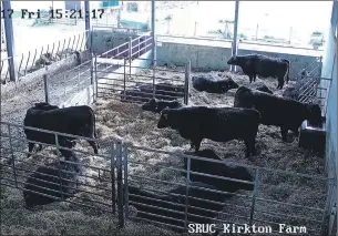  ??  ?? The new camera enables swift response to calving or lambing problems.