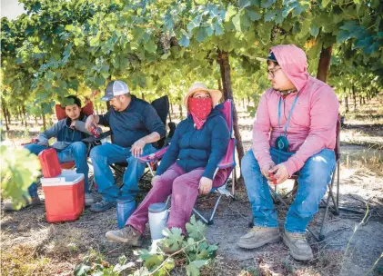  ?? HECTOR AMEZCUA/SACRAMENTO BEE PHOTOS ?? Carlos Alfonso Perez, right, who lives at the Lodi Migrant Housing Center with his family, takes a break from working in the fields in August with his brother Cristian, father Carlos Santiago, and mother Lorena.