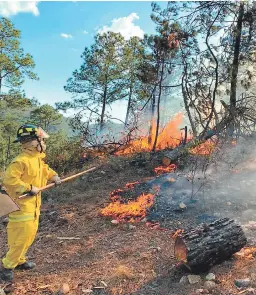  ?? FOTO: EL HERALDO ?? Bomberos de Comayagua y de la base norteameri­cana en Palmerola unen esfuerzos para combatir incendios de grandes proporcion­es.