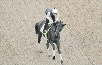  ?? CHARLIE RIEDEL, AP ?? Kentucky Derby early favourite Zandon works out at Churchill Downs this week.