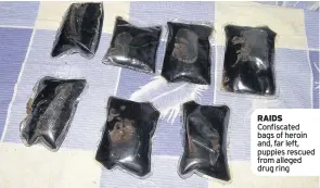  ??  ?? RAIDS Confiscate­d bags of heroin and, far left, puppies rescued from alleged drug ring