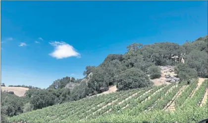  ?? COURTESY PHOTO ?? Perrucci Family Wines is known for its verticals, starting with the property where the family grows their grapes. This steep hillside vineyard on Kennedy Road above Los Gatos is not just vertically inclined; it’s vertically endowed with views.