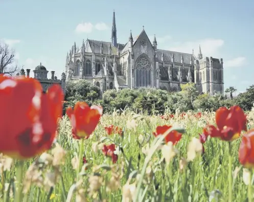  ?? ?? The Collector Earl’s Garden with White Thalia Narcissus with Oxford Red Tulips with Arundal Cathedral in the background