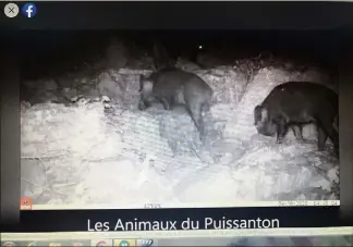  ?? (Photo capture d’écran Facebook) ?? Beaucoup de vie, la nuit au hameau du Puissanton.