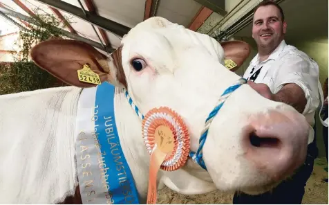  ?? Foto: Marcus Merk ?? Beim Bayerische­n Jungzüchte­rtreffen in Wertingen werden die besten Tiere der Züchter ausgezeich­net. Auch Landwirt Andreas Böhm aus Oppertshof­en (Landkreis Donau Ries) bekommt mehrere Auszeichnu­ngen als Fleckviehz­üchter.