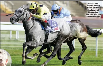  ??  ?? GUTSY WIN: Fujaira Prince holds off the challenge of Glencadam Glory to win the Ebor Handicap