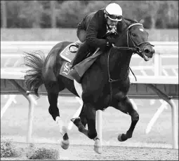  ?? BILL DENVER/EQUI-PHOTO ?? Hopeful winner Mind Control, pictured training at Monmouth, exits a seventh-place finish in the Breeders’ Cup Juvenile.