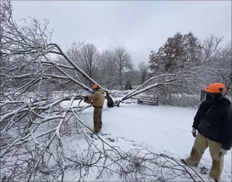  ?? HOLDEN FORESTS & GARDENS ?? Holden Forests & Gardens arborists Gary Weinheimer, left, and Rick Anielski take down an Apple Serviceber­ry tree from the Display Garden at Holden Arboretum in Kirtland. The tree, planted in 1964, was damaged in a Dec. 1 snowstorm.