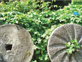  ??  ?? Old mill stones stood on edge can be recycled into garden art. (Maureen Gilmer/TNS)