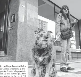  ?? ARCHIVO LA NUEVA. ?? Analizan la colocación de una baldosa para recordar a “Cachi”, el perro que se había ganado el corazón de los bahienses.