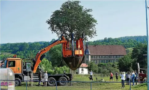  ??  ?? Die Kastanie stand zuvor am Damm im Eisenacher Grabental. Während der Messe „demopark“fotografie­rten viele Besucher den Baum in der Grabschauf­el der Baumverpfl­anzungsmas­chine. Insgesamt vier große Bäumen – eine Esche und drei Kastanien – wurden mit Maschinenk­raft umgepflanz­t.