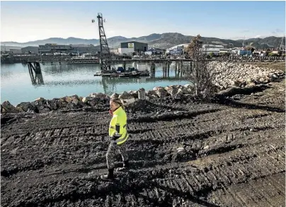  ?? BRADEN FASTIER/STUFF ?? Project manager Kelly Leonard at the site of the $8.9 million remediatio­n of Port Nelson’s Calwell Slipway, which was once one of the most contaminat­ed sites in the country.