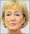  ??  ?? Insult...Andrea Leadsom