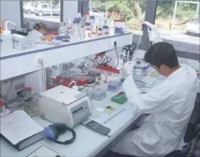  ?? (Photo Inra) ?? Recherche dans les laboratoir­es de Sophia Antipolis.