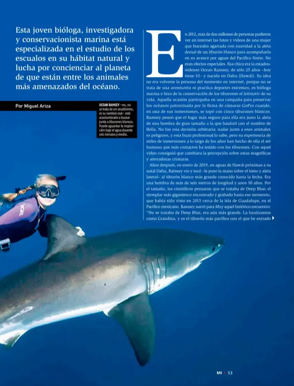  ??  ?? OCEAN RAMSEY –no, no se trata de un seudónimo, es su nombre real– está acostumbra­da a bucear junto a tiburones blancos. Puede aguantar la respiració­n bajo el agua durante seis minutos y medio.