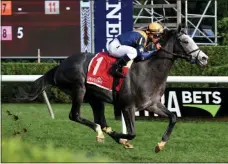  ?? SUSIE RAISHER/NYRA ?? Dog Tag, trianed by Chad Brown with Javier Castellano aboard winning the 2018 installmen­t of the P.G. Johnson.