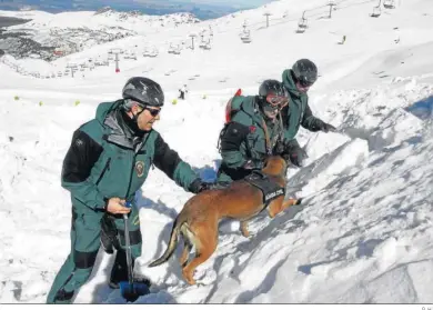  ?? G. H. ?? Guardias civiles muestran un rastreo con perro en la nieve.