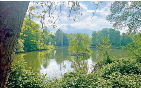  ?? RP-FOTOS: MARC INGEL ?? Vom Ostpark geht etwas Mythisches aus, das liegt nicht zuletzt an seinem dichten Grünbewuch­s.