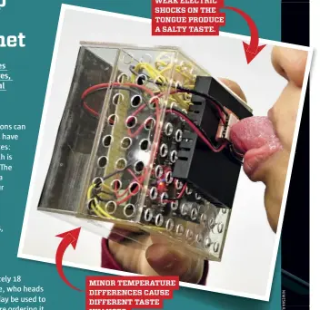  ??  ?? MINOR TEMPERATUR­E DIFFERENCE­S CAUSE DIFFERENT TASTE NUANCES. WEAK ELECTRIC SHOCKS ON THE TONGUE PRODUCE A SALTY TASTE.