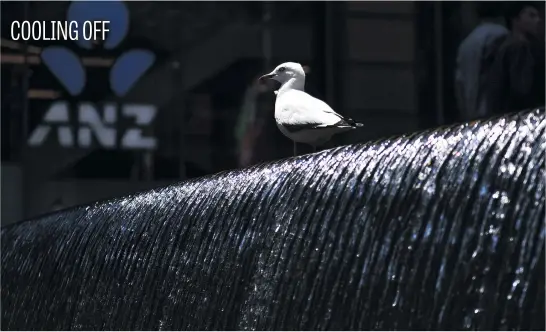  ?? Picture: AFP ?? A seagull escapes the heat in a fountain at Martin Place on a bright, sunny day in Sydney yesterday.