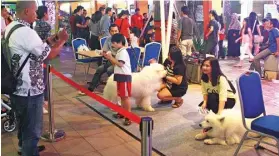  ?? AXA FINANCIAL INDONESIA FOR JAWA POS ?? SERU: Anggota komunitas pencinta hewan melakukan gathering sebelum event AXA Pet Fest 2018.