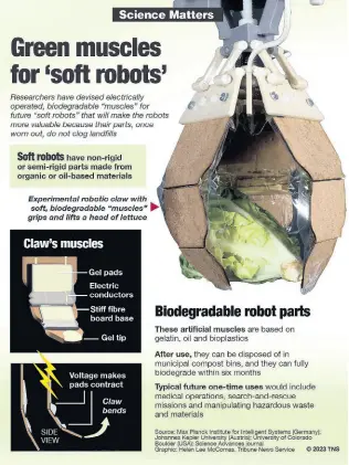  ?? ?? Researcher­s have designed flexible, biodegrada­ble muscles for ‘soft robots’.