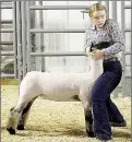  ??  ?? Mikenley Travis entered a Market Lamb and won first in her class, third overall in Market Division and took home Reserve Grand in the Commercial Division, Senior Showmanshi­p and Super Senior Showmanshi­p.