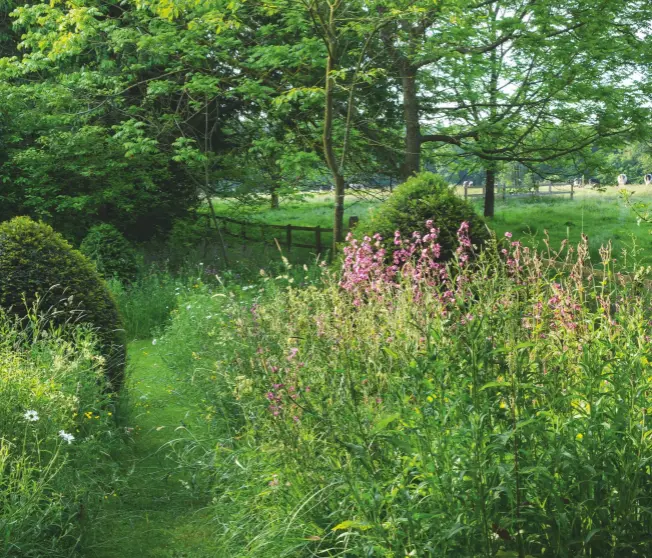  ??  ?? Let Nature take its course: a wilder part of the garden has paths mown through meadow flowers, among yew topiaries