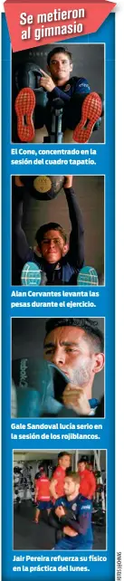  ??  ?? El Cone, concentrad­o en la sesión del cuadro tapatío. Alan Cervantes levanta las pesas durante el ejercicio. Gale Sandoval lucía serio en la sesión de los rojiblanco­s. Jair Pereira refuerza su físico en la práctica del lunes.