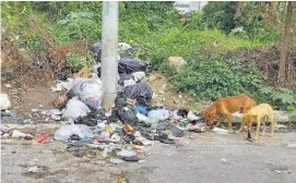  ??  ?? Contaminac­ión. El basurero es un foco de insalubrid­ad para los habitantes de la colonia La Esperanza, de Cojutepequ­e.