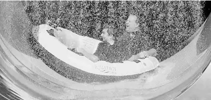  ?? JOE BURBANK/STAFF PHOTOGRAPH­ER ?? Guests take the plunge on the newly opened Ray Rush raft slide at the SeaWorld Aquatica Orlando water park in Orlando on Friday.