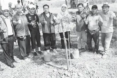  ??  ?? HIJAUKAN BUMI: Rodziah, Barayan (tengah) serta yang lain menyempurn­akan penanaman pokok simbolik perasmian Program ‘Anti Litter Walk’ Peringkat Daerah Tatau.