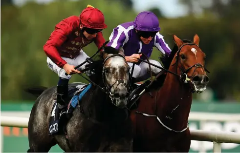  ?? SAM BARNES/ SPORTSFILE ?? Close encounter:Roaring Lion, and Oisin Murphy (left) finish strongly to edge out Saxon Warrior (Ryan Moore) on their way to landing the QIPCO Irish Champion Stakes on Saturday