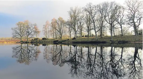  ??  ?? Reader Ken Bell captured this tranquil scene at a Perthshire loch.